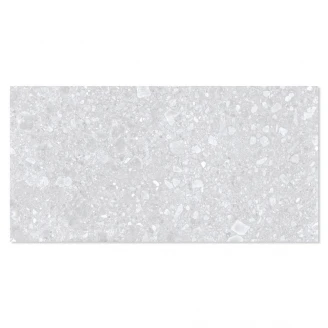 Klinker Ceppostone Lysegrå Mat 60x120 cm-2